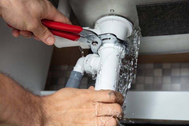 Best Professional water damage repair  in Arthurtown, SC