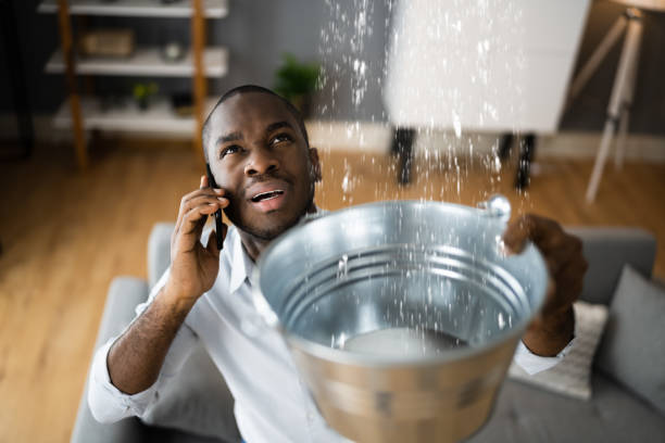 Best 24-hour water damage restoration  in Arthurtown, SC