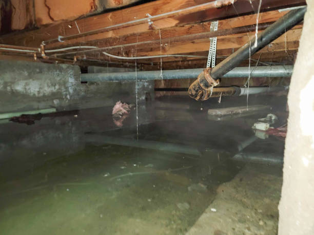 Water damage restoration mold remediation in SC