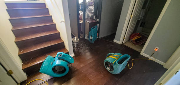 Best Ceiling water damage repair  in Arthurtown, SC