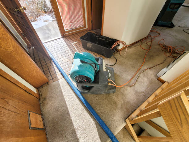 Best Water damage repair service  in Arthurtown, SC