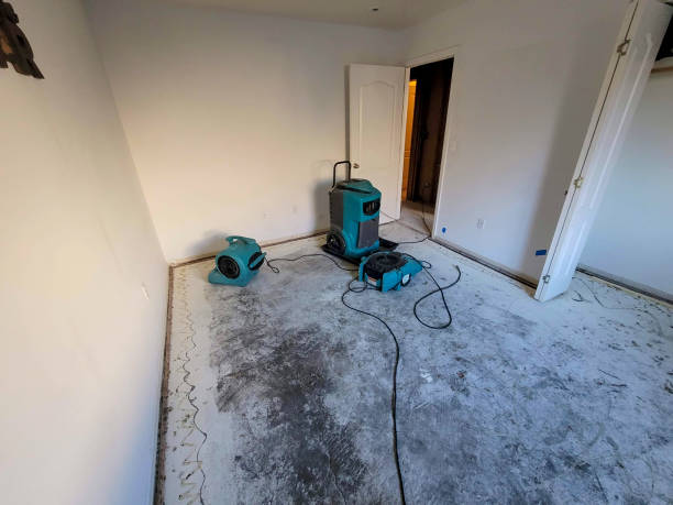 Best Carpet water damage restoration  in Arthurtown, SC