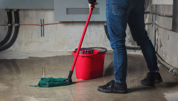 Best Sewage cleanup and water damage restoration  in Arthurtown, SC