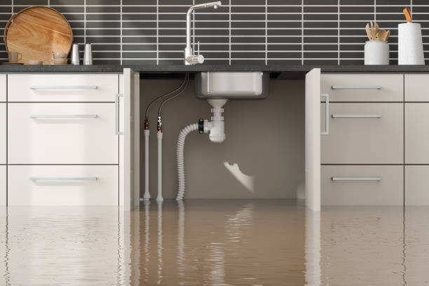 Best Professional water damage repair  in Arthurtown, SC