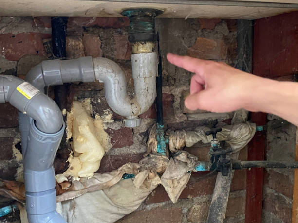 Best Sewage cleanup and water damage restoration  in Arthurtown, SC