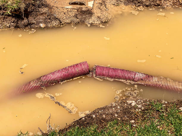 Best Flood restoration services  in Arthurtown, SC